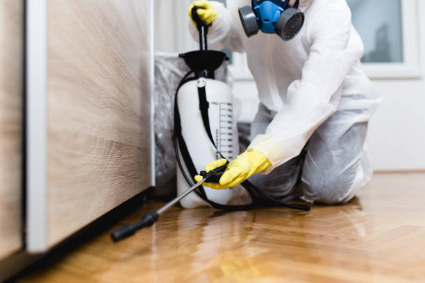 Best Emergency Pest Control  in Wauconda, IL