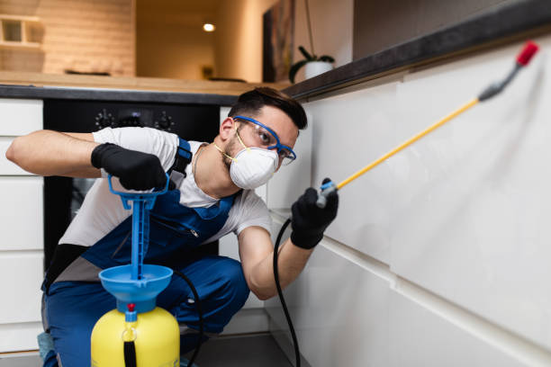 Best Pest Control Treatment  in Wauconda, IL