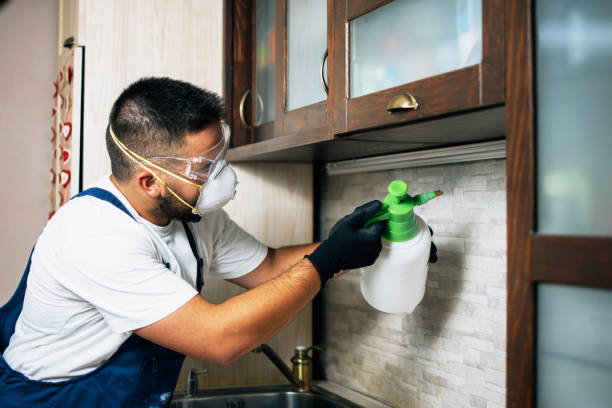 Best Commercial Pest Control Services  in Wauconda, IL