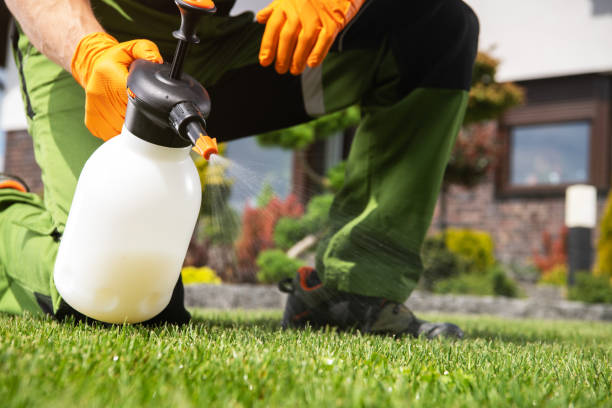 Best Wasp Removal Services  in Wauconda, IL