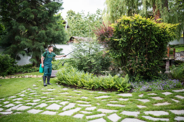 Best Emergency Pest Control  in Wauconda, IL