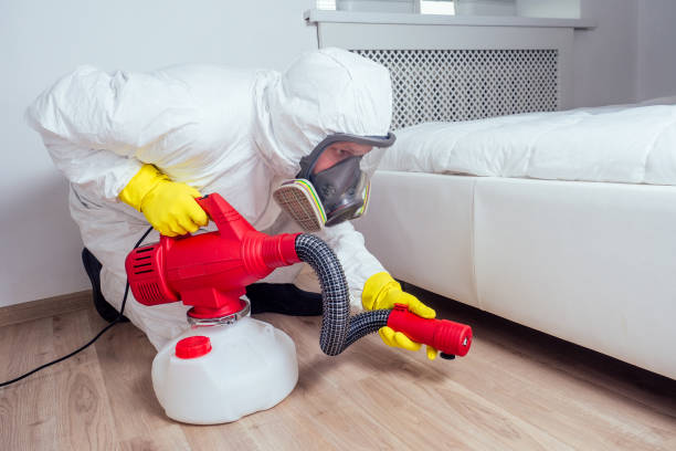Best Pest Removal Services  in Wauconda, IL