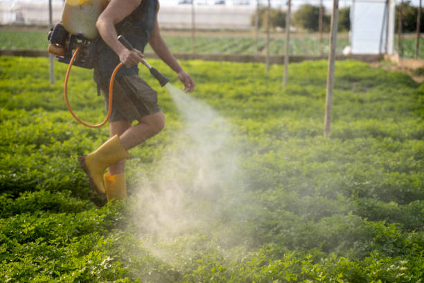 Best Pest Control Near Me in Wauconda, IL