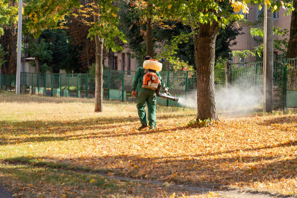 Best Affordable Pest Control Services  in Wauconda, IL