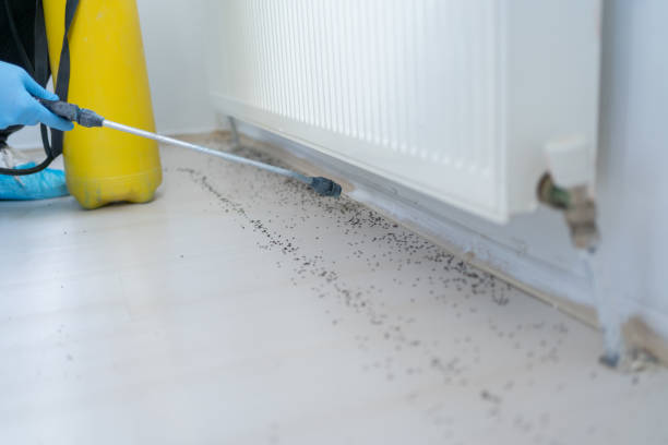 Best Exterminator Services  in Wauconda, IL