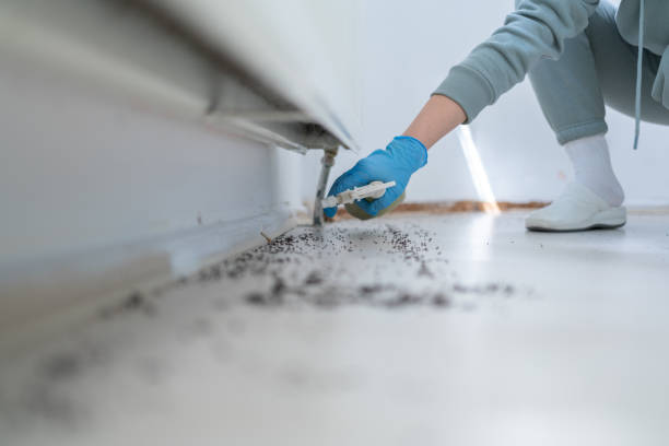 Best Residential Pest Control  in Wauconda, IL