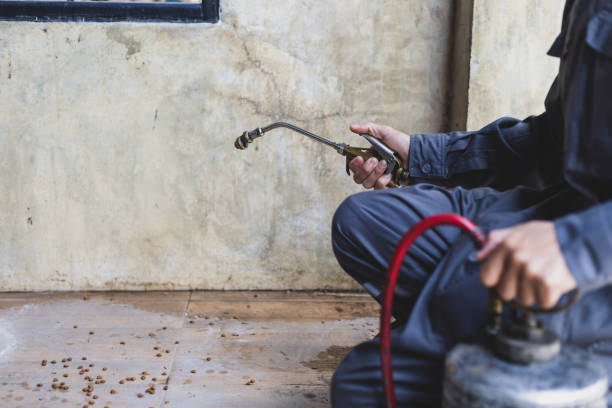  Wauconda, IL Pest Control Pros