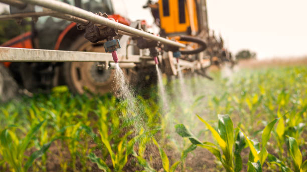 Reliable Wauconda, IL Pest Control Solutions